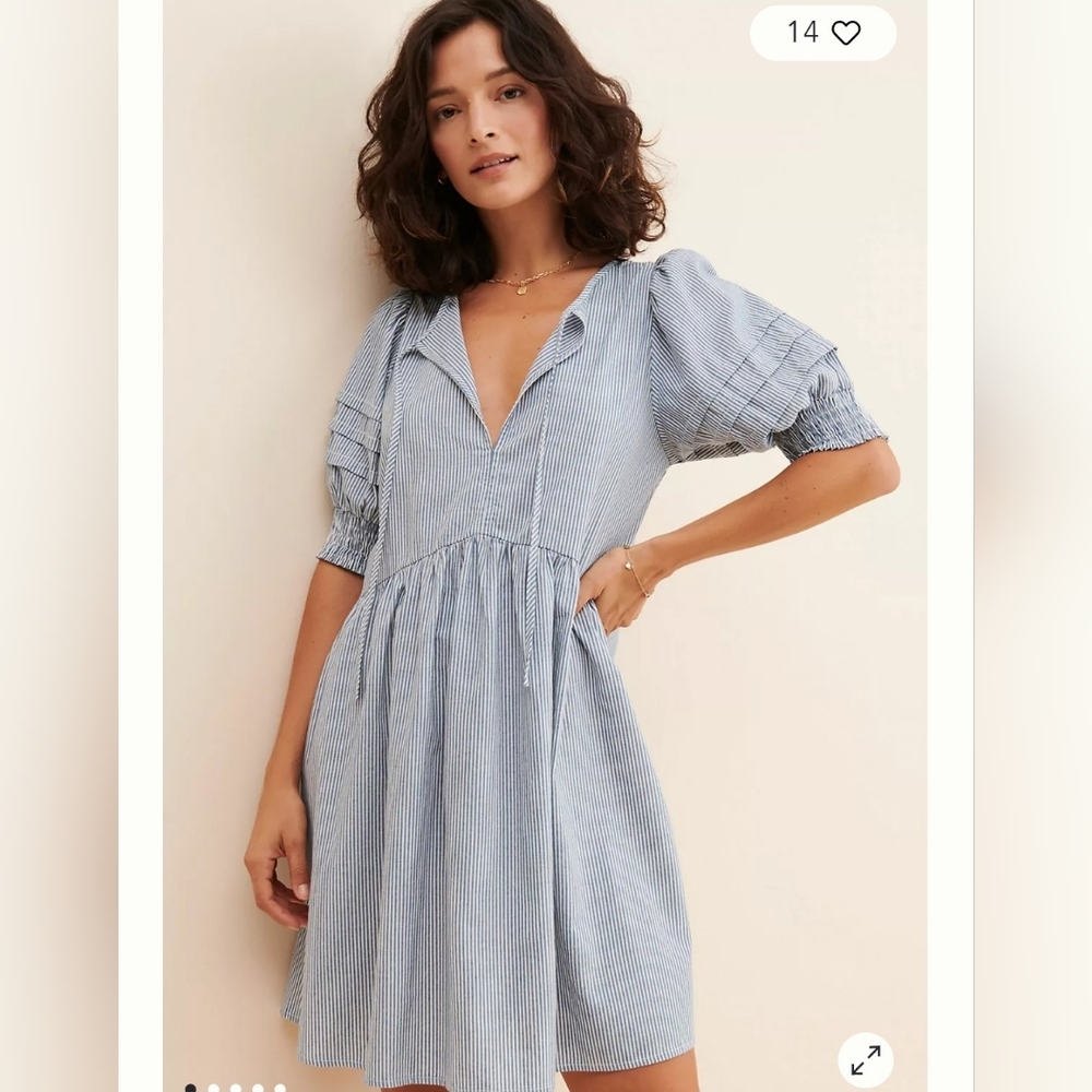 Afternoon Myna Mini Dress